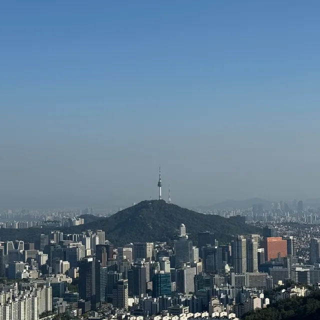 벨루가입니다