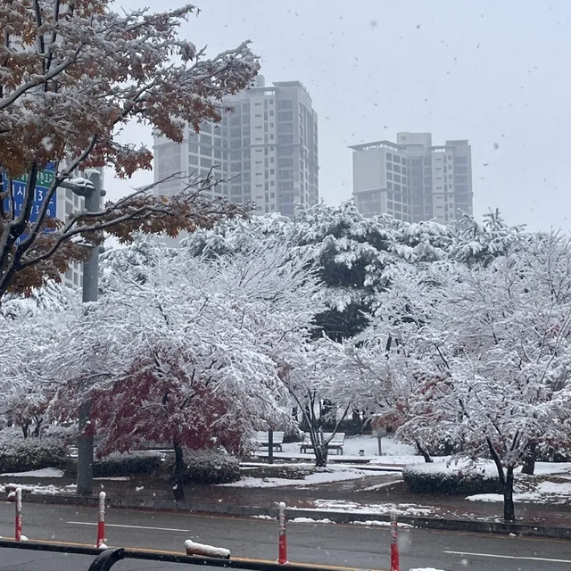 세이미