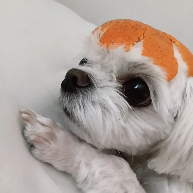 빛나고싶은돌멩이
