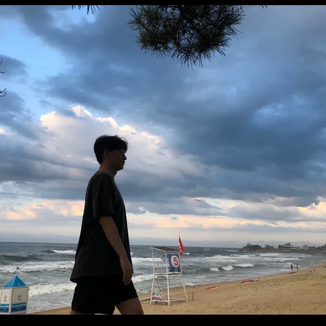 증가로풀피리