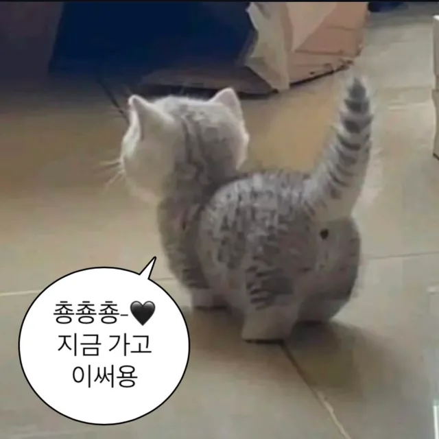 Jyeony