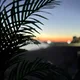 꾸우울벌