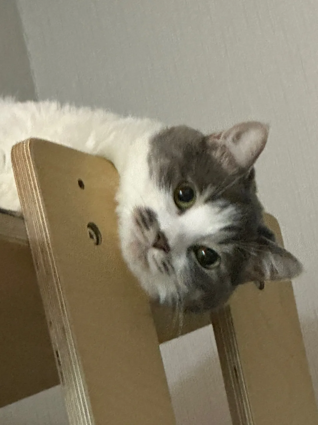 순호엄마