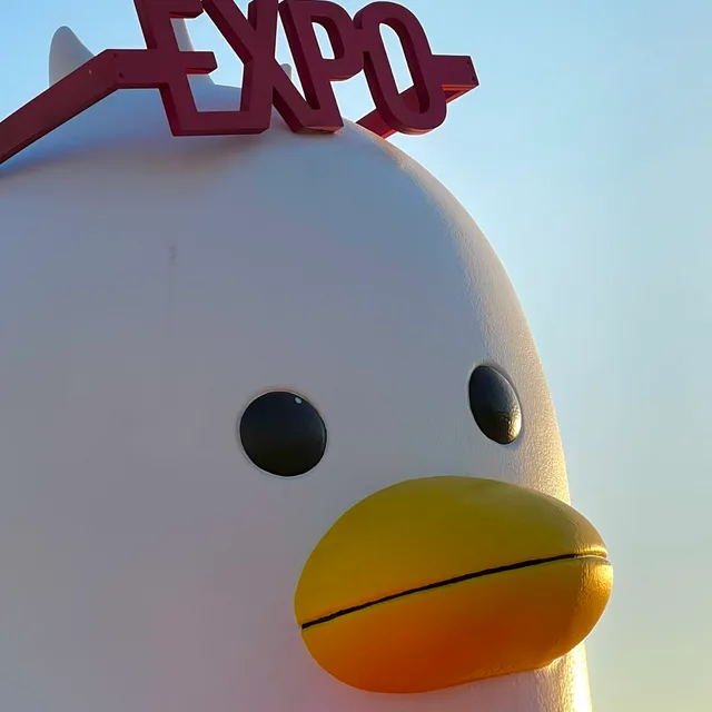 윾다
