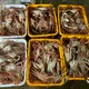 부산게싸노