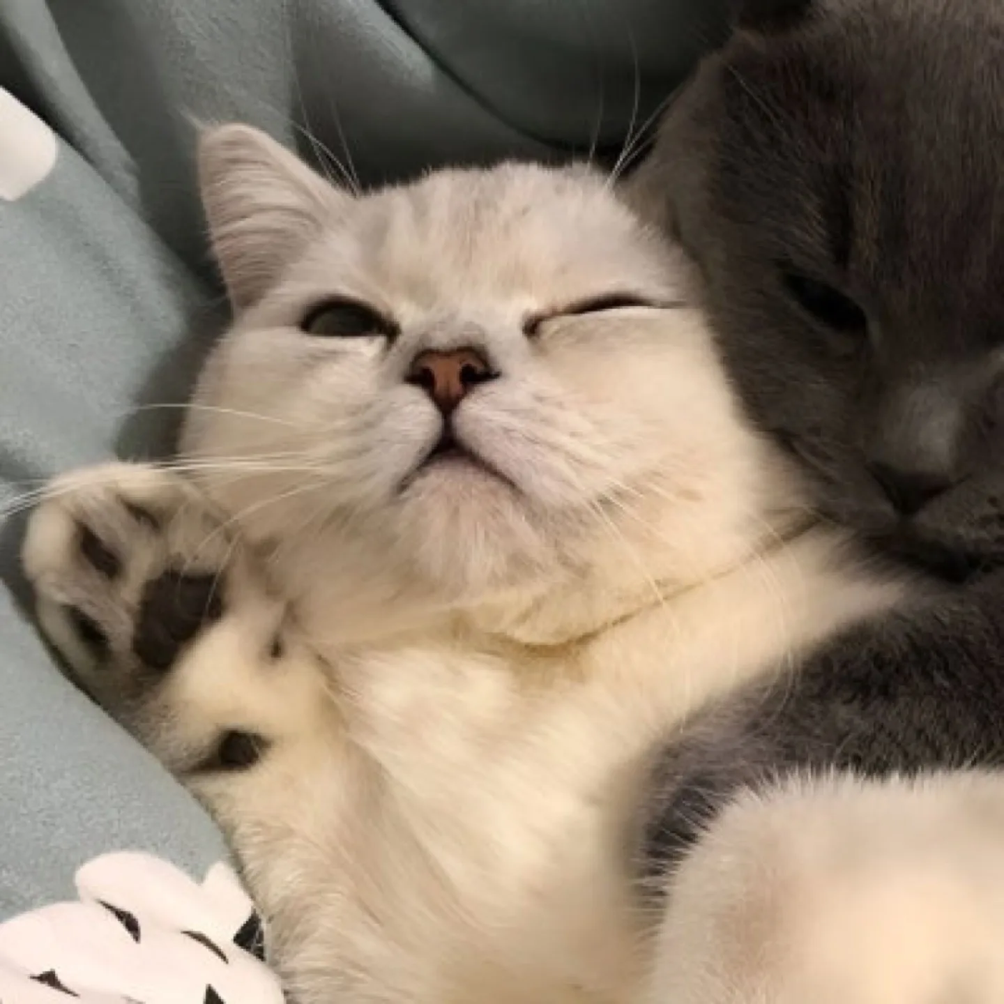 햇닝