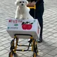 두부