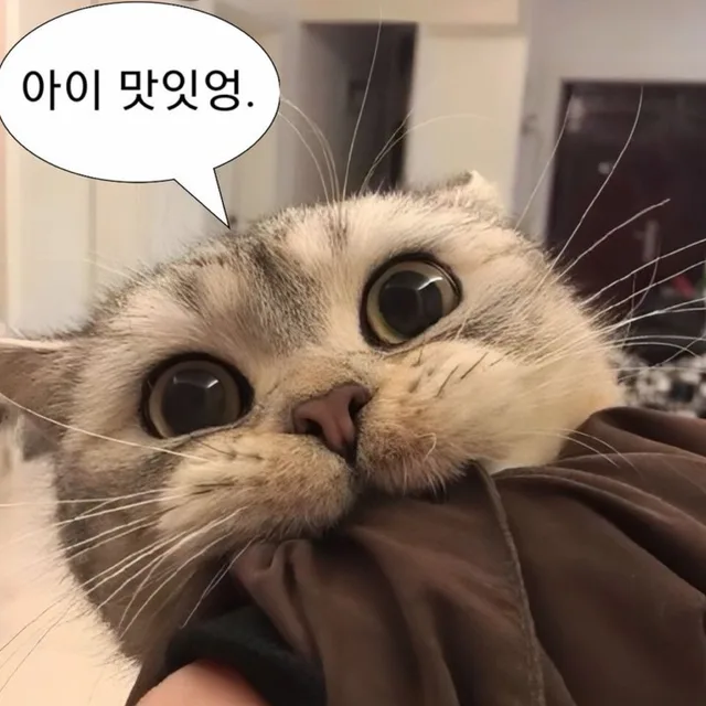 열심히거래하기