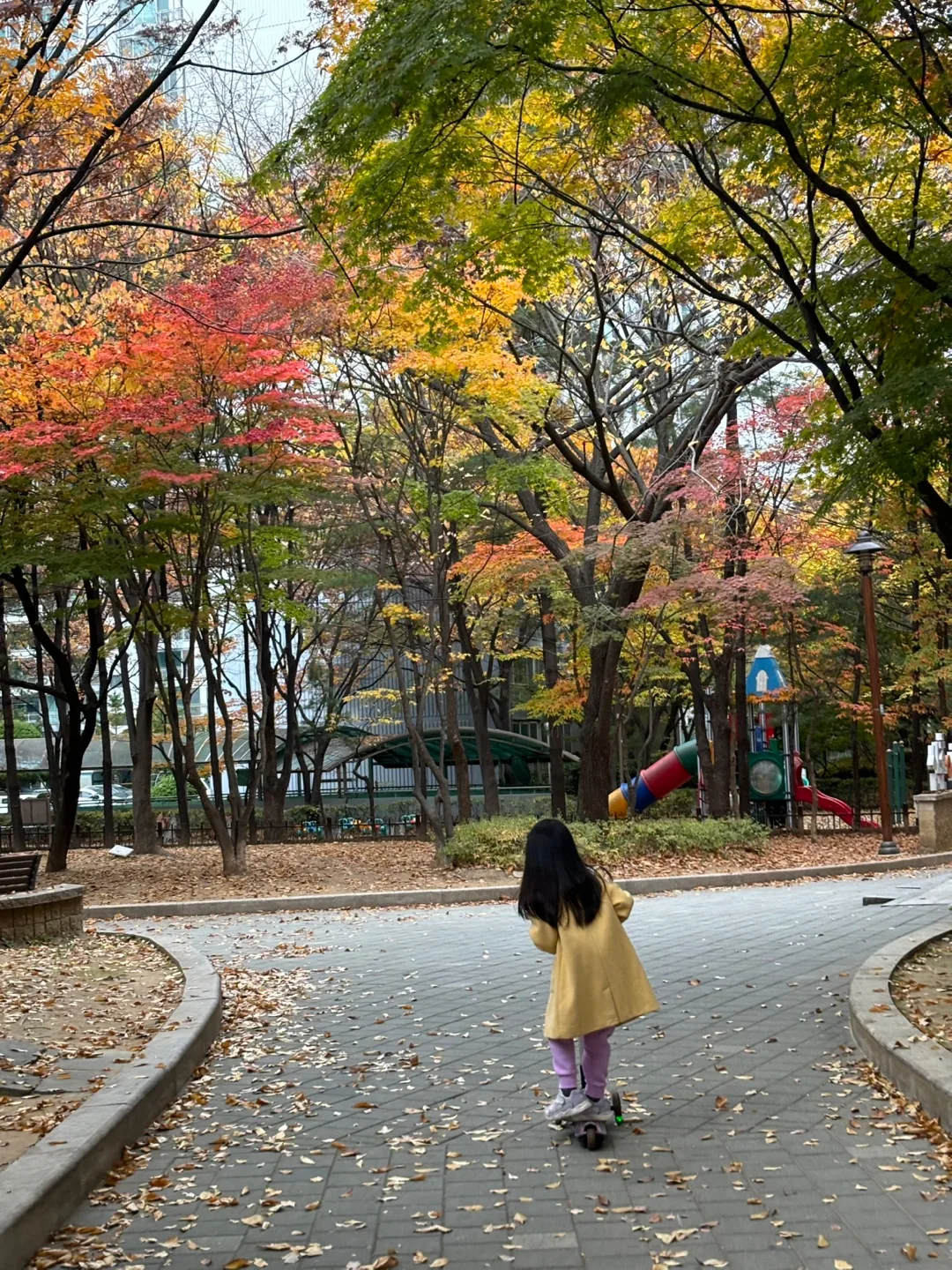 고루곤