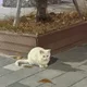 당근당근