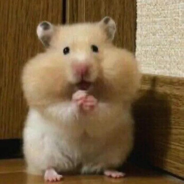 냥펀치