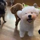 오목동