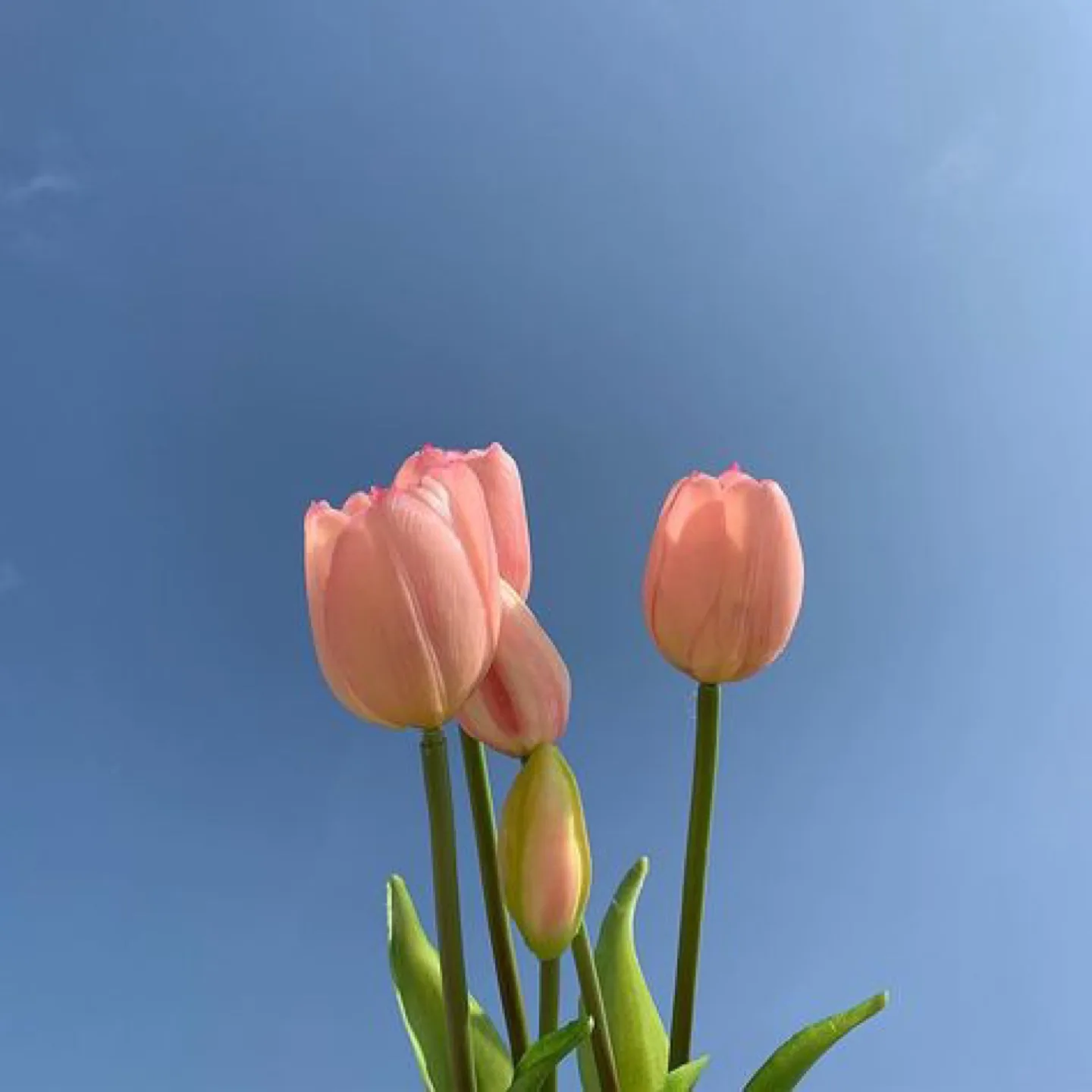 닉네임있음