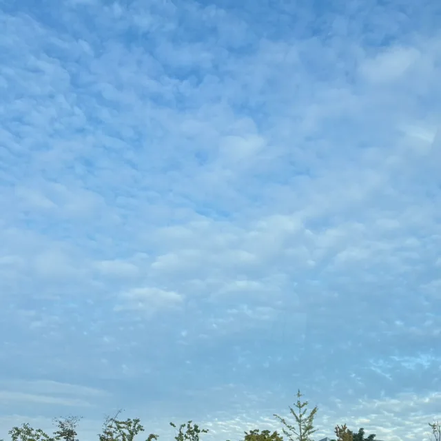 구름