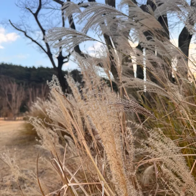 클라우드브레드