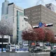 고미도리