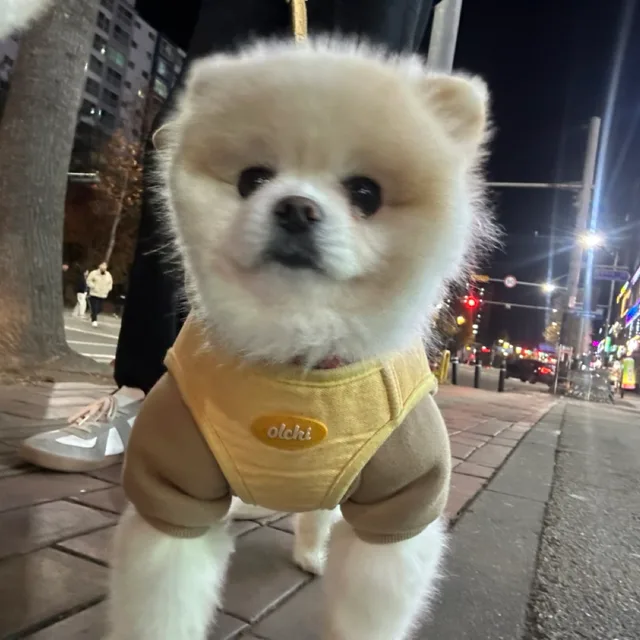 탕이아빠