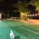 안넝