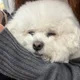 진아