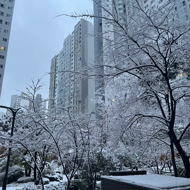 체리코크