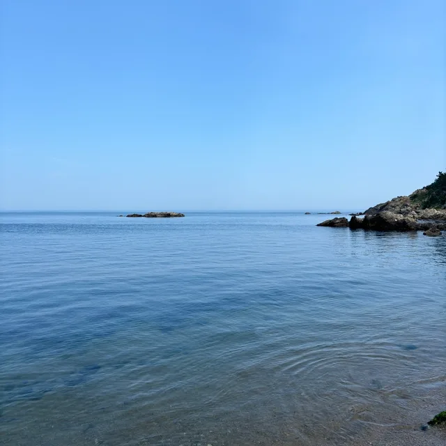 당근당근