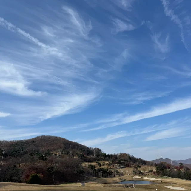 집정리중