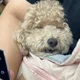 하이당근