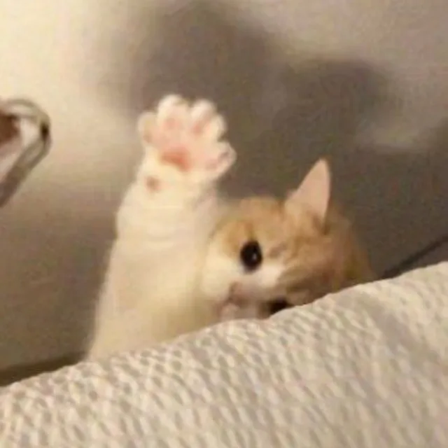 츄르