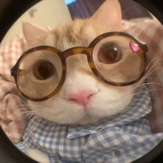 블프보다싸다