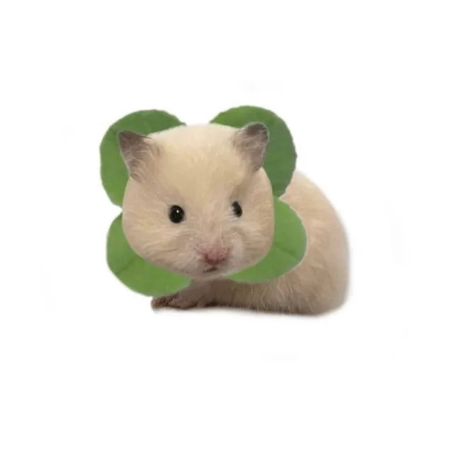 안농하세요