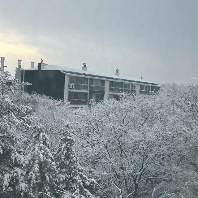팽팽이