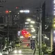 돌고래