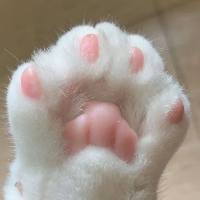 밍키
