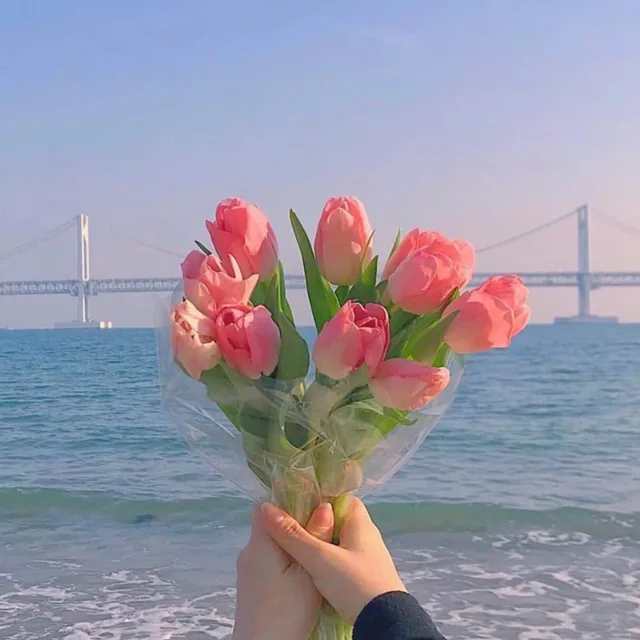 봄아