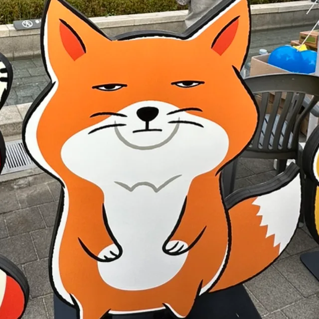 닥터