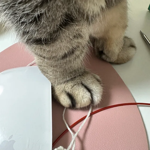 봄비