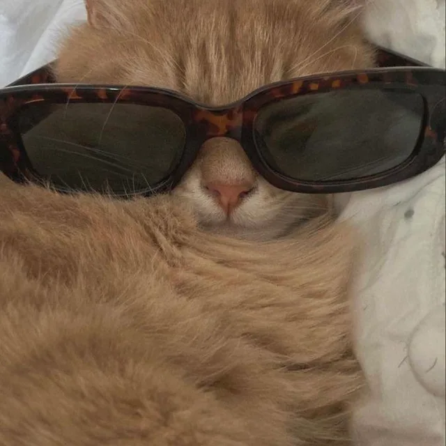 토킹앤어바웃