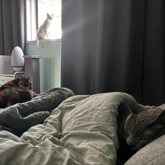 Aki