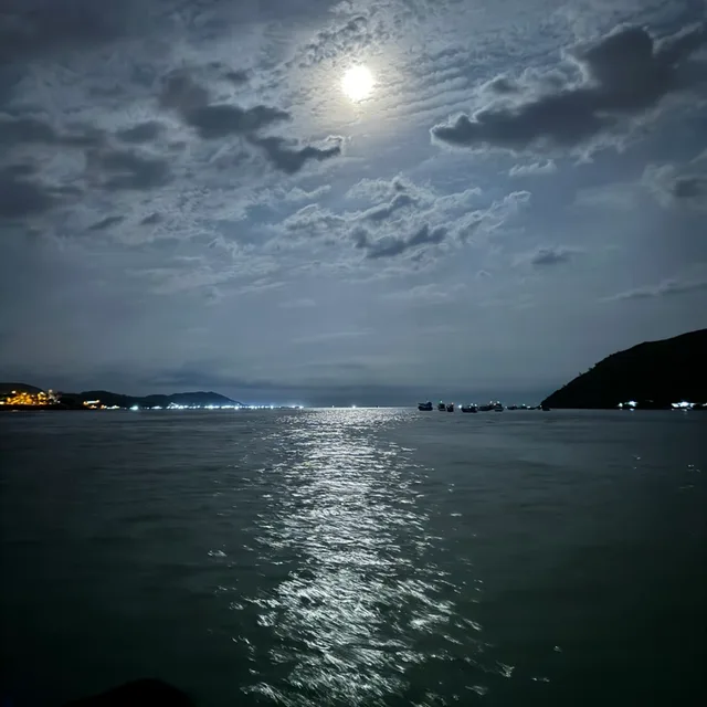 노락노라이프