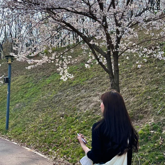 곱창전골