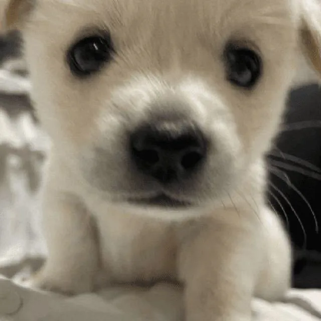 머어어어엉