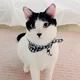 지지
