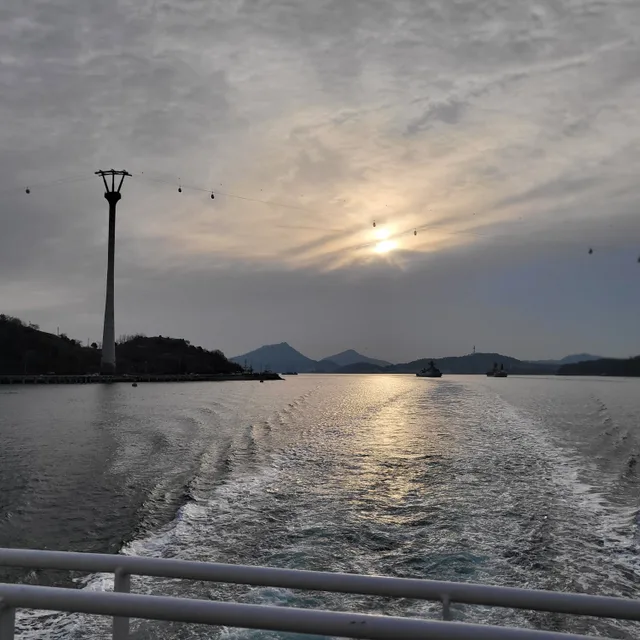 한동이네