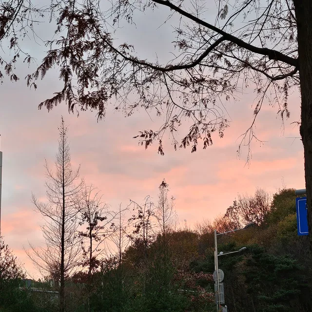 흰색네모