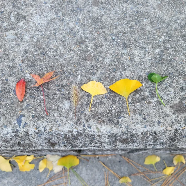 엄마