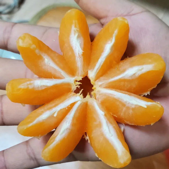 김치엄마