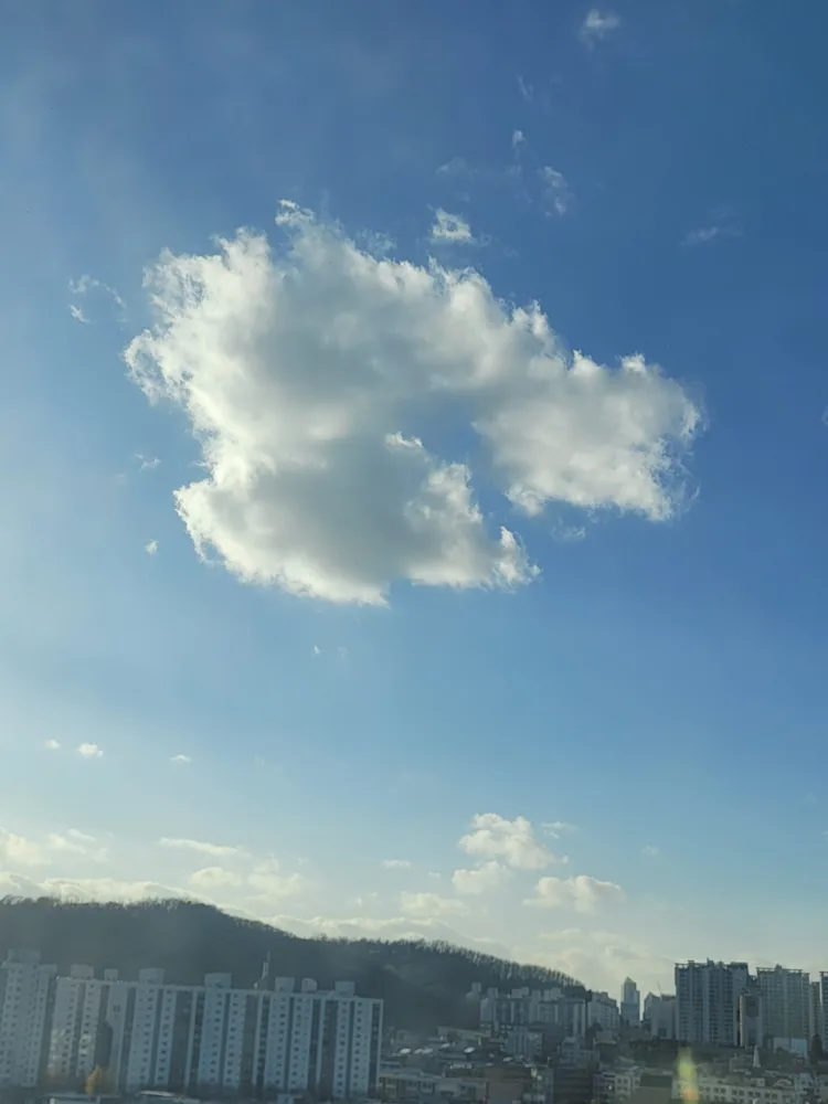 이사왔떠요