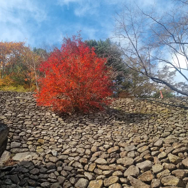 해피엔딩