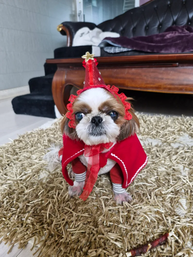 엔쵸바라기