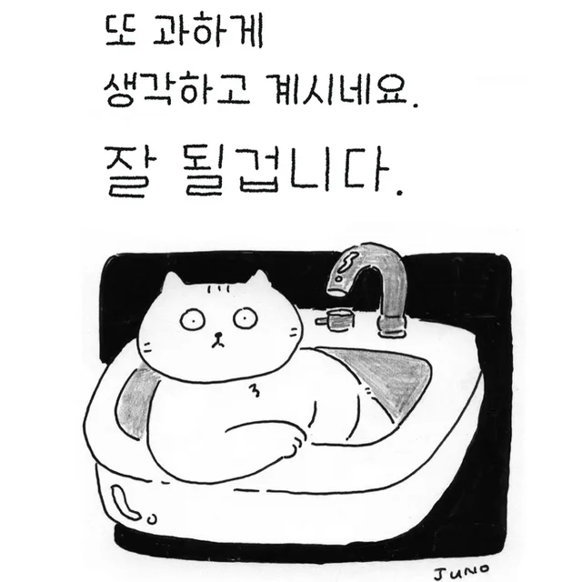 도티몰